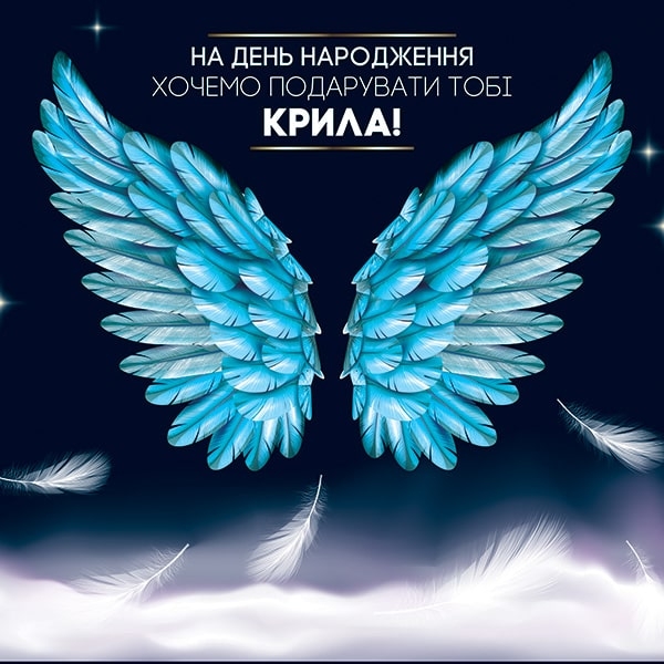 Вибрати фотозону Крила великій вибір фотозон в интернет магазині Еко Фабрика